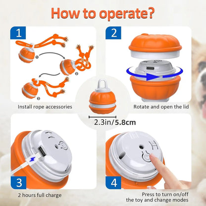 Fetch the Fun: The Ball that Rolls Away Your Dog's Boredom (and Maybe Your Socks Too!)