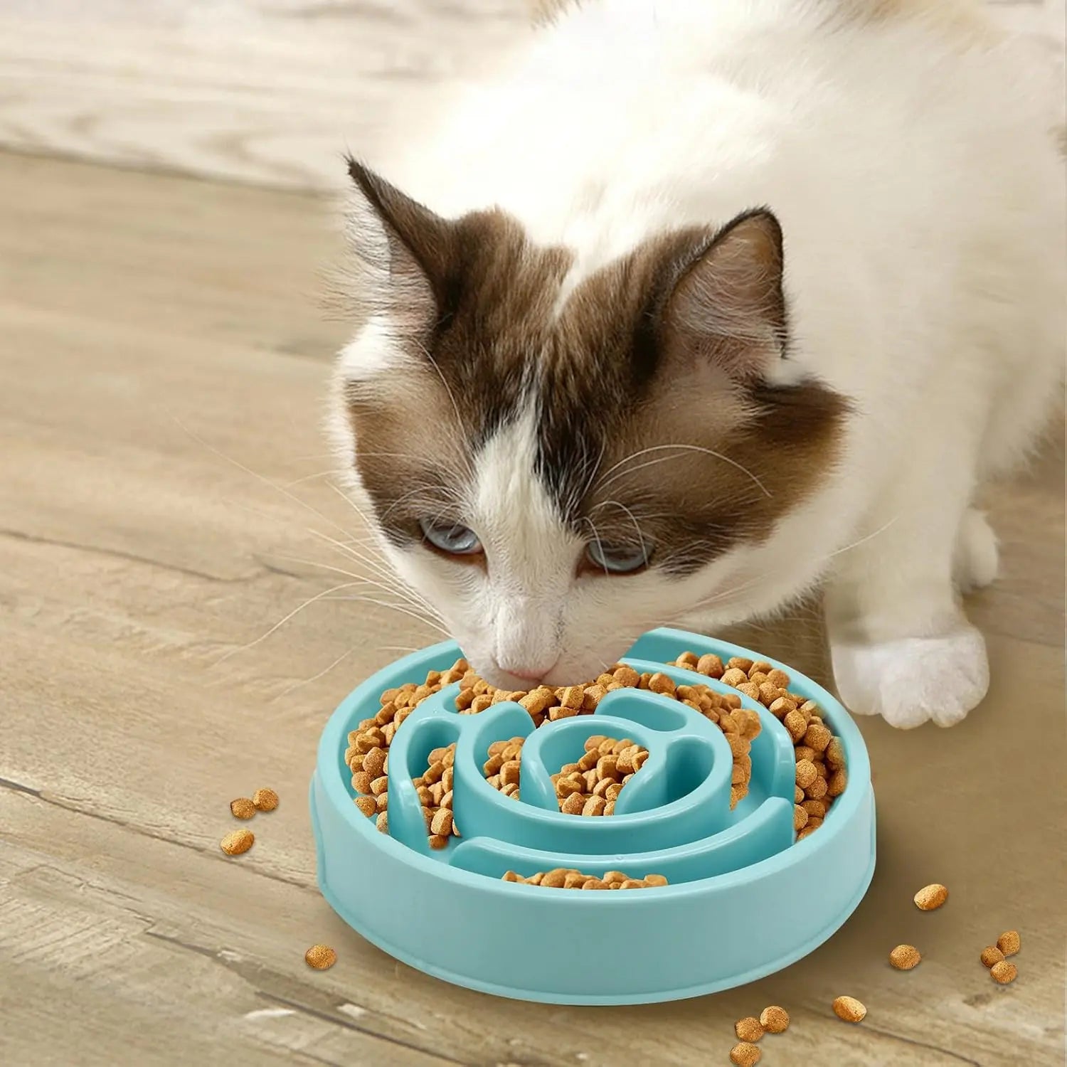 Plastic Dog Slow Feeder Bowl, Anti-Choke Design Ensures Safe Eating, Puzzle Snack Bowl Protects Neck, Pet Feeding Accessories, Neater Feeder