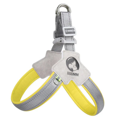 Canine Couture: The "Harness Me, Baby!" Leash for Your Compact Canine Companions Like Corgis, Shiba Inus, and Frenchie Fashionistas!