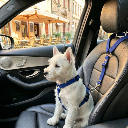 Canine Crash Course: The Ultimate Pup Seatbelt, Lengthy Leash for Cars, Truckin' Fun with Blinky Balls and Chewy Bungee Shenanigans!