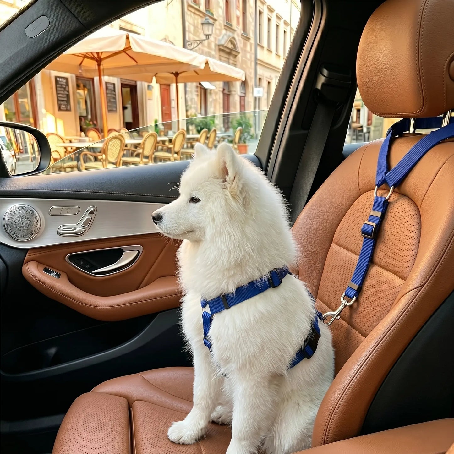 Canine Crash Course: The Ultimate Pup Seatbelt, Lengthy Leash for Cars, Truckin' Fun with Blinky Balls and Chewy Bungee Shenanigans!