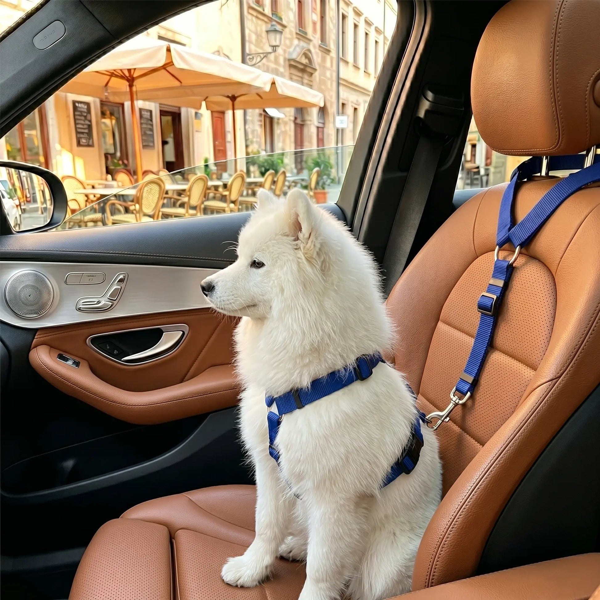 Canine Crash Course: The Ultimate Pup Seatbelt, Lengthy Leash for Cars, Truckin' Fun with Blinky Balls and Chewy Bungee Shenanigans!