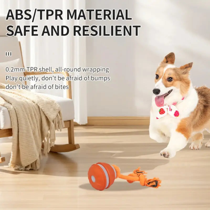Fetch the Fun: The Ball that Rolls Away Your Dog's Boredom (and Maybe Your Socks Too!)