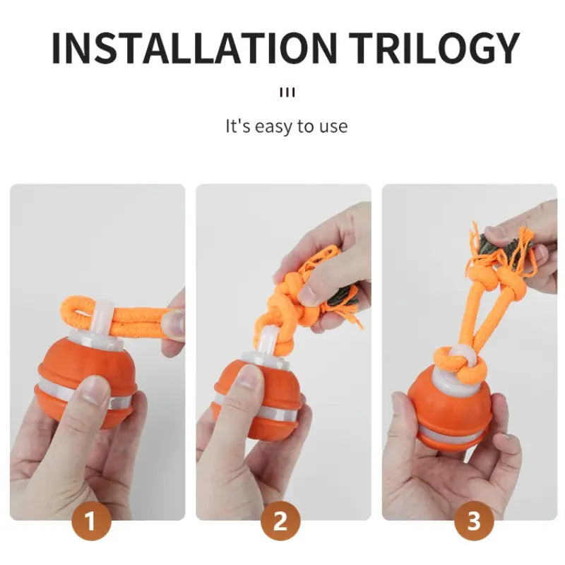 Fetch the Fun: The Ball that Rolls Away Your Dog's Boredom (and Maybe Your Socks Too!)