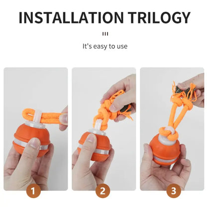 Fetch the Fun: The Ball that Rolls Away Your Dog's Boredom (and Maybe Your Socks Too!)