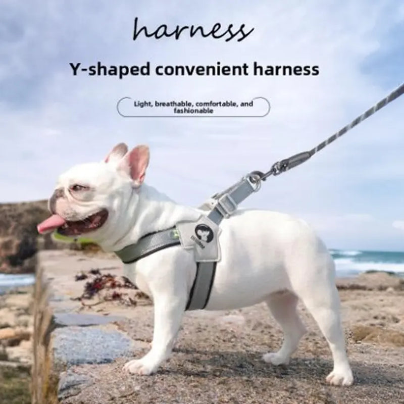 Canine Couture: The "Harness Me, Baby!" Leash for Your Compact Canine Companions Like Corgis, Shiba Inus, and Frenchie Fashionistas!