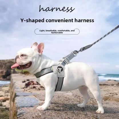 Canine Couture: The "Harness Me, Baby!" Leash for Your Compact Canine Companions Like Corgis, Shiba Inus, and Frenchie Fashionistas!