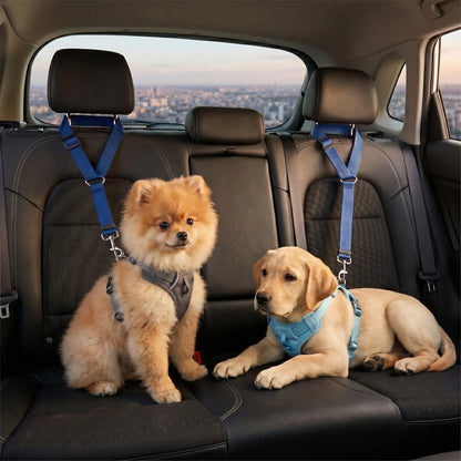 Canine Crash Course: The Ultimate Pup Seatbelt, Lengthy Leash for Cars, Truckin' Fun with Blinky Balls and Chewy Bungee Shenanigans!