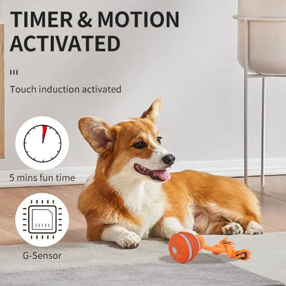 Fetch the Fun: The Ball that Rolls Away Your Dog's Boredom (and Maybe Your Socks Too!)