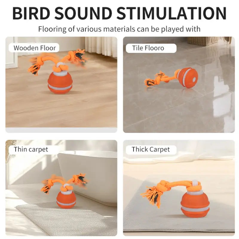 Fetch the Fun: The Ball that Rolls Away Your Dog's Boredom (and Maybe Your Socks Too!)