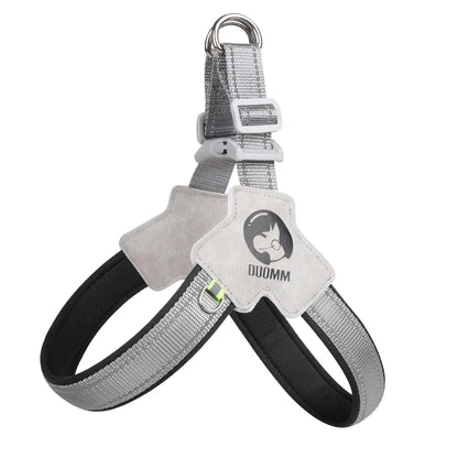 Canine Couture: The "Harness Me, Baby!" Leash for Your Compact Canine Companions Like Corgis, Shiba Inus, and Frenchie Fashionistas!