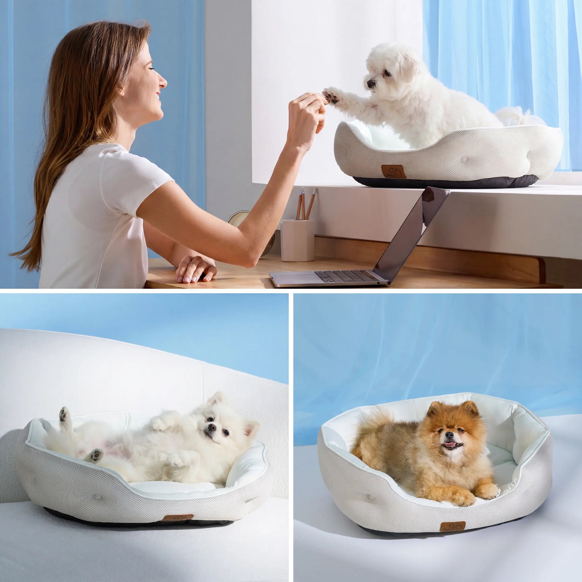 Bedsure Cooling Dog Beds for Small Dogs – Q-MAX>0.4 round Cat Beds for Indoor Cats, Washable Pet Bed for Puppy and Kitten with Slip-Resistant Bottom