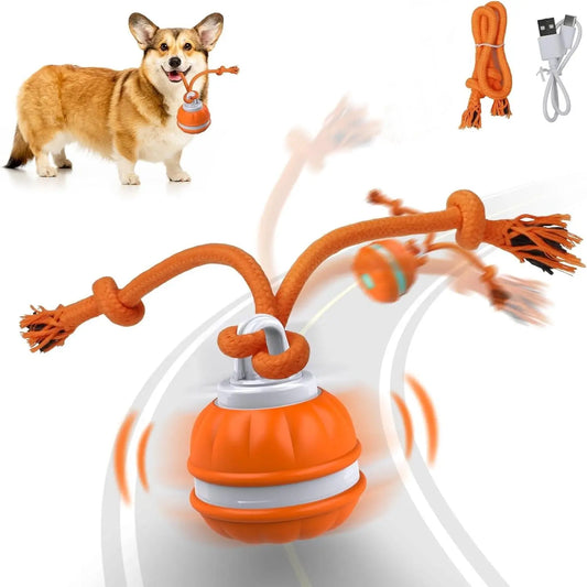 Fetch the Fun: The Ball that Rolls Away Your Dog's Boredom (and Maybe Your Socks Too!)