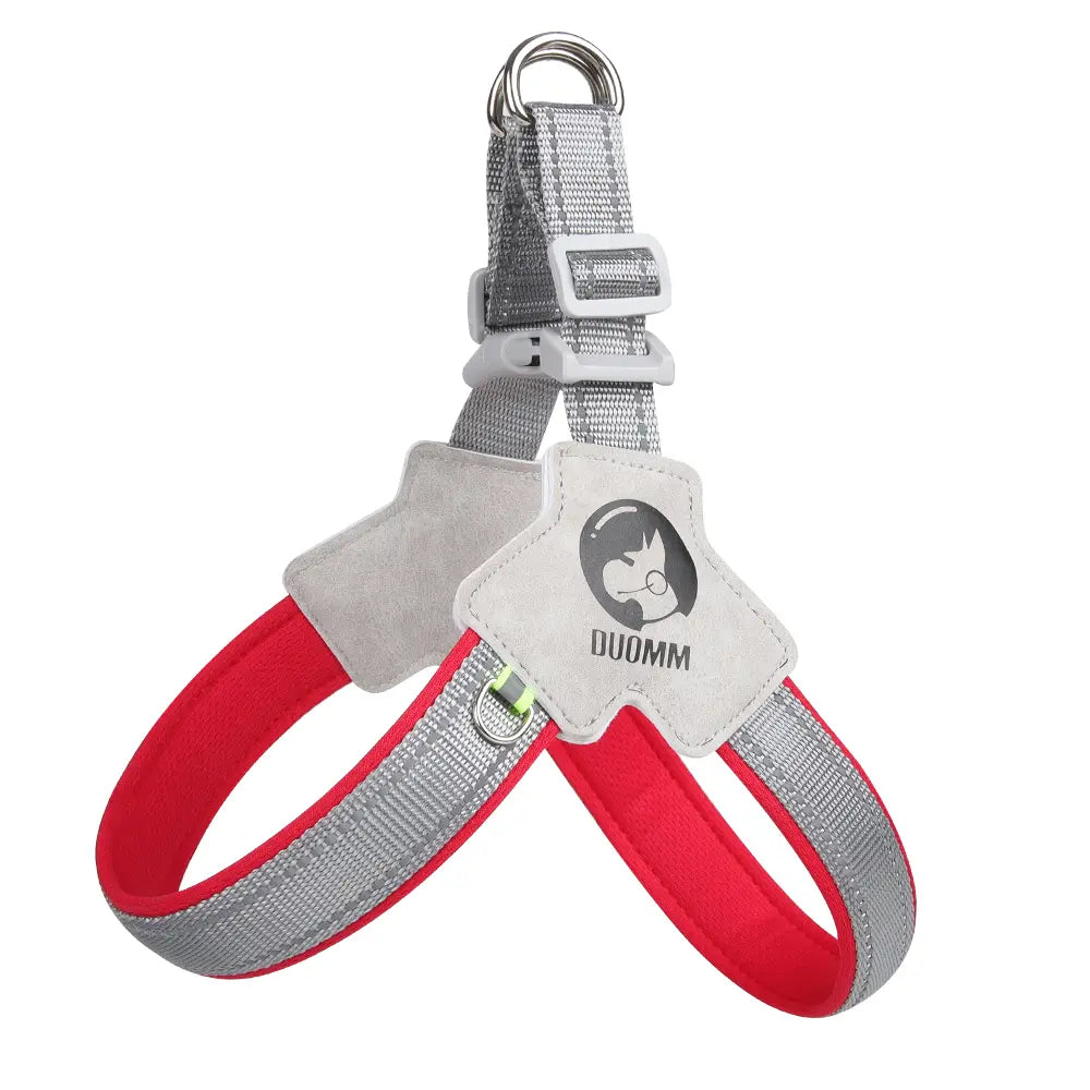 Canine Couture: The "Harness Me, Baby!" Leash for Your Compact Canine Companions Like Corgis, Shiba Inus, and Frenchie Fashionistas!