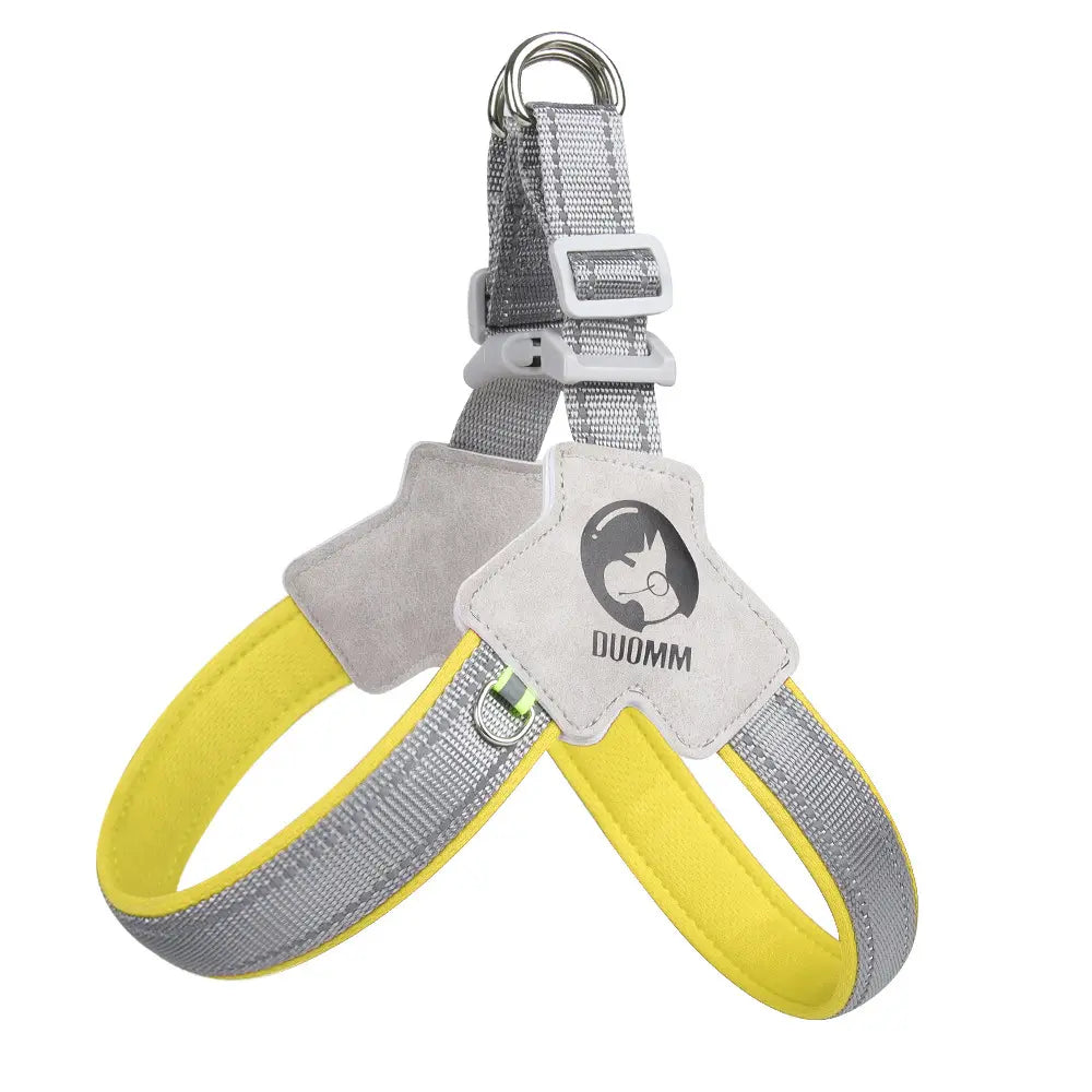 Canine Couture: The "Harness Me, Baby!" Leash for Your Compact Canine Companions Like Corgis, Shiba Inus, and Frenchie Fashionistas!