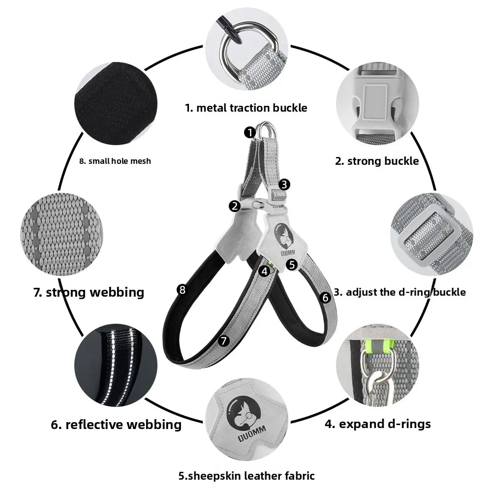 Canine Couture: The "Harness Me, Baby!" Leash for Your Compact Canine Companions Like Corgis, Shiba Inus, and Frenchie Fashionistas!