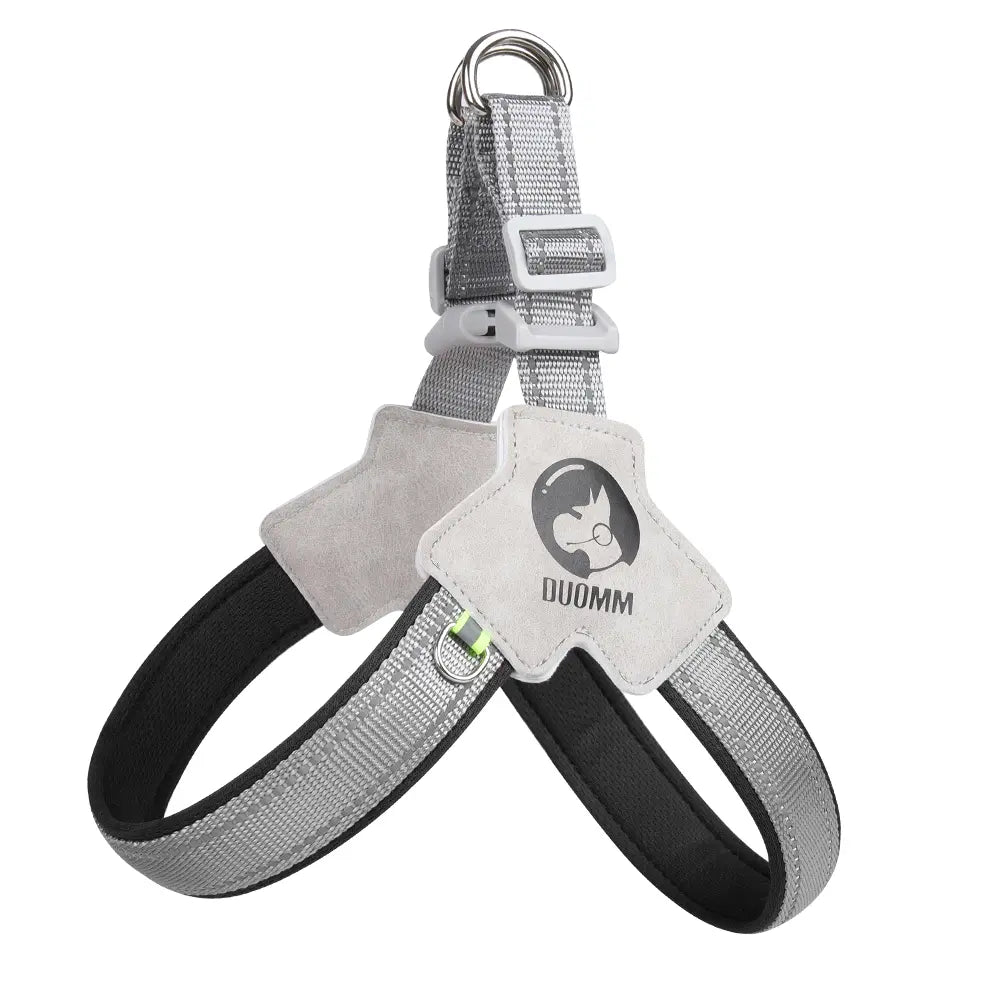 Canine Couture: The "Harness Me, Baby!" Leash for Your Compact Canine Companions Like Corgis, Shiba Inus, and Frenchie Fashionistas!