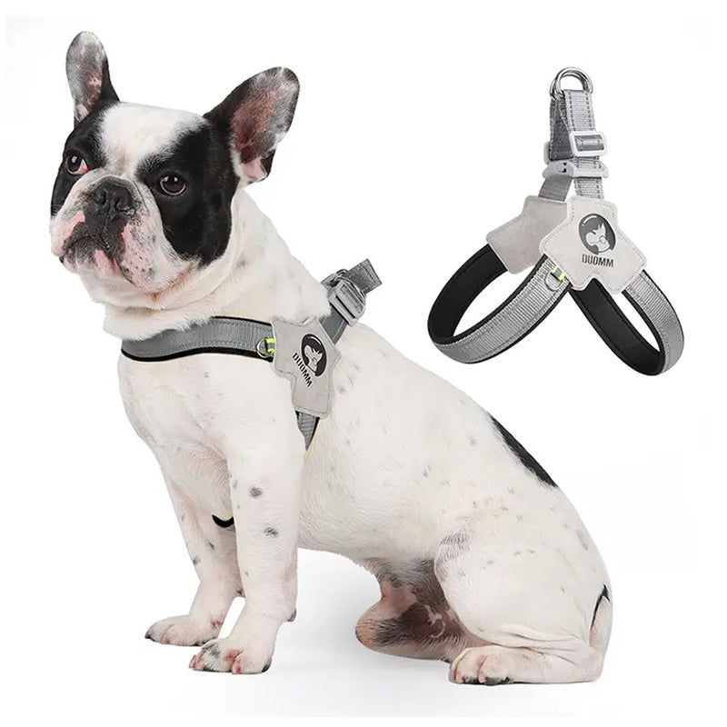 Canine Couture: The "Harness Me, Baby!" Leash for Your Compact Canine Companions Like Corgis, Shiba Inus, and Frenchie Fashionistas!