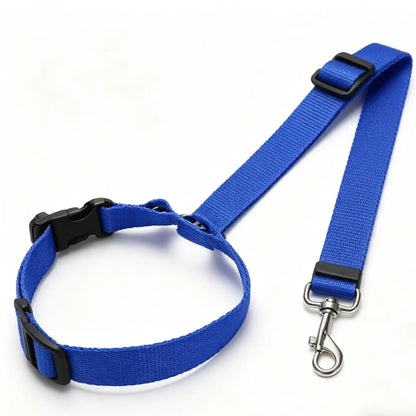 Canine Crash Course: The Ultimate Pup Seatbelt, Lengthy Leash for Cars, Truckin' Fun with Blinky Balls and Chewy Bungee Shenanigans!